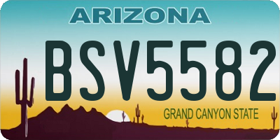 AZ license plate BSV5582