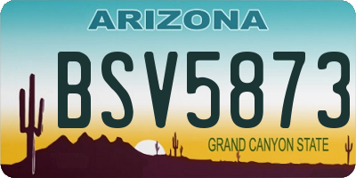 AZ license plate BSV5873