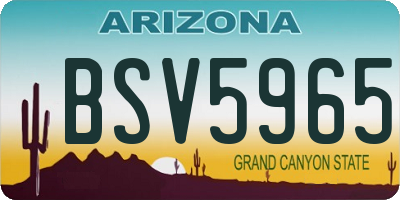 AZ license plate BSV5965