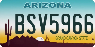 AZ license plate BSV5966