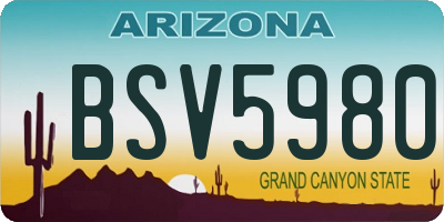 AZ license plate BSV5980