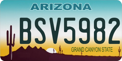 AZ license plate BSV5982