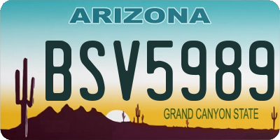 AZ license plate BSV5989