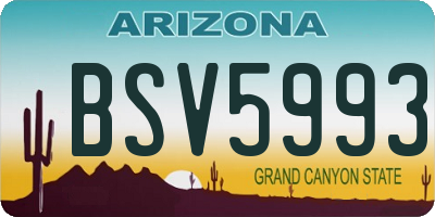 AZ license plate BSV5993