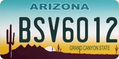 AZ license plate BSV6012