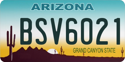 AZ license plate BSV6021