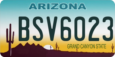 AZ license plate BSV6023