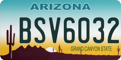 AZ license plate BSV6032