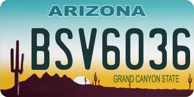 AZ license plate BSV6036