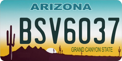 AZ license plate BSV6037