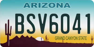 AZ license plate BSV6041