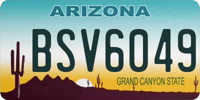 AZ license plate BSV6049