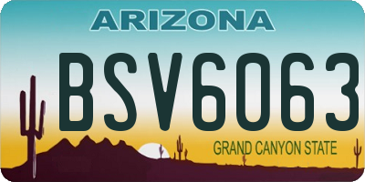 AZ license plate BSV6063