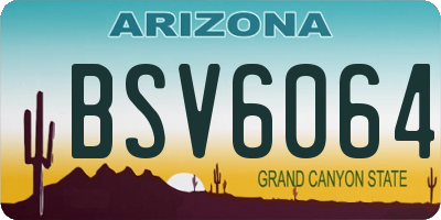 AZ license plate BSV6064