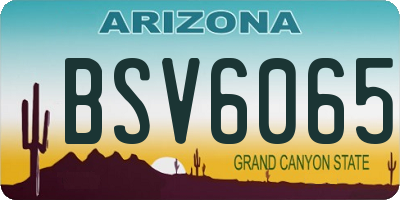 AZ license plate BSV6065