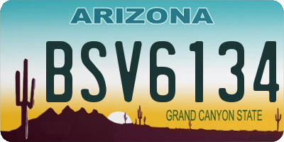 AZ license plate BSV6134