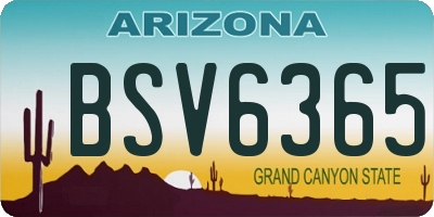 AZ license plate BSV6365