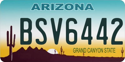 AZ license plate BSV6442