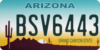 AZ license plate BSV6443
