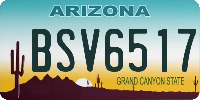 AZ license plate BSV6517