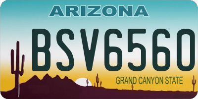 AZ license plate BSV6560