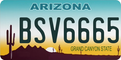 AZ license plate BSV6665