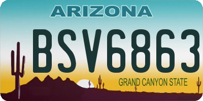 AZ license plate BSV6863