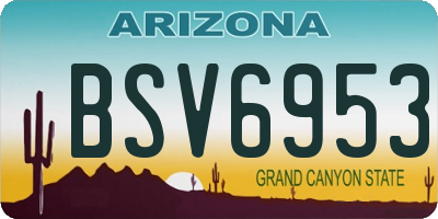 AZ license plate BSV6953