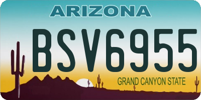 AZ license plate BSV6955