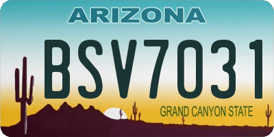 AZ license plate BSV7031