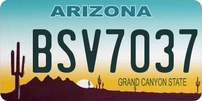 AZ license plate BSV7037