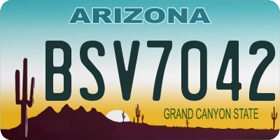 AZ license plate BSV7042