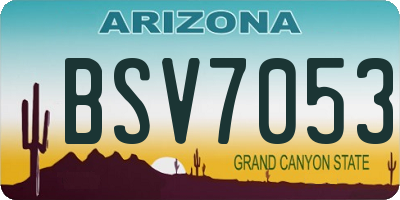AZ license plate BSV7053