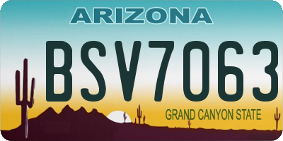 AZ license plate BSV7063