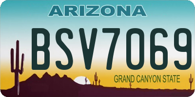 AZ license plate BSV7069