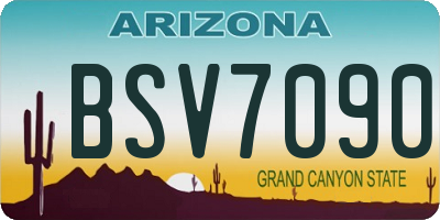 AZ license plate BSV7090