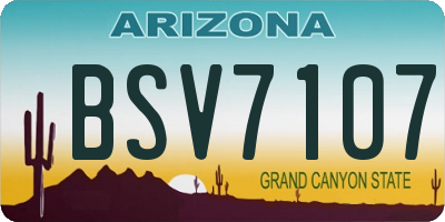 AZ license plate BSV7107