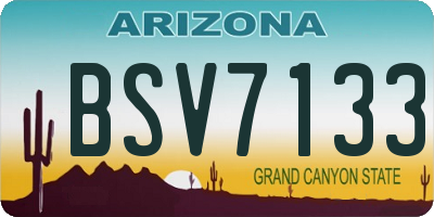 AZ license plate BSV7133