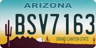 AZ license plate BSV7163