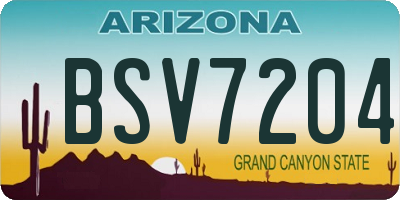 AZ license plate BSV7204