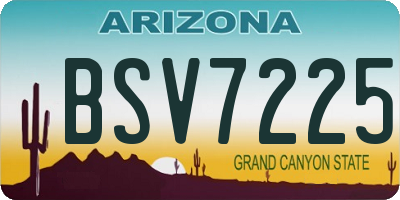 AZ license plate BSV7225