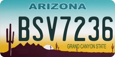 AZ license plate BSV7236