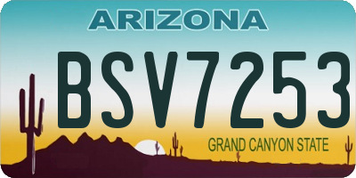 AZ license plate BSV7253