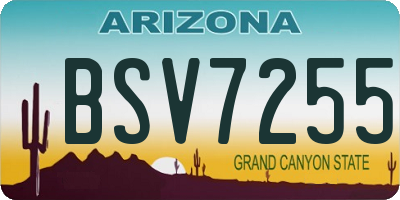 AZ license plate BSV7255