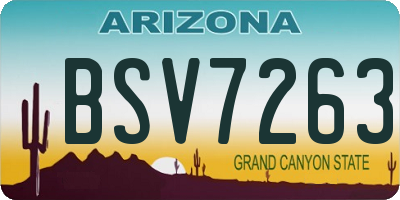 AZ license plate BSV7263