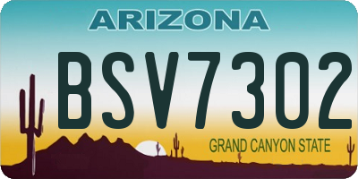 AZ license plate BSV7302
