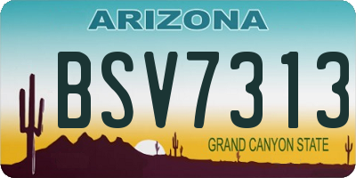 AZ license plate BSV7313