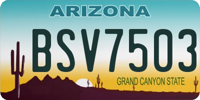 AZ license plate BSV7503