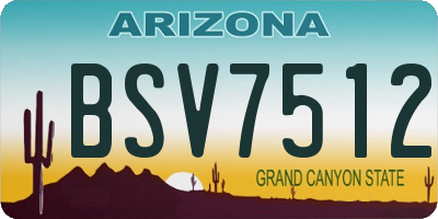 AZ license plate BSV7512