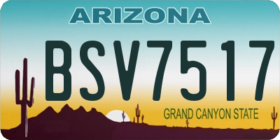 AZ license plate BSV7517